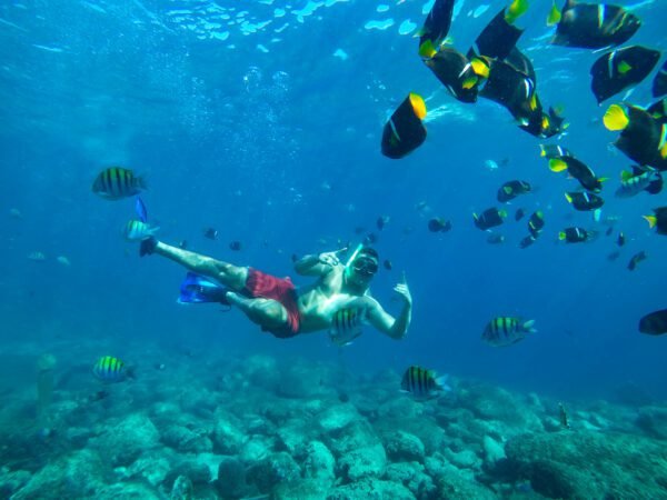 LUXURY YACHT & SNORKELING - Image 3