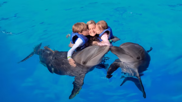 Nado con Delfines Signature - Image 3