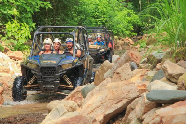 All Terrain Safari - Image 3