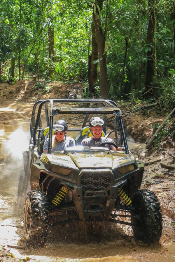 All Terrain Safari