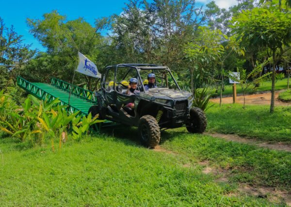 All Terrain Safari - Image 4