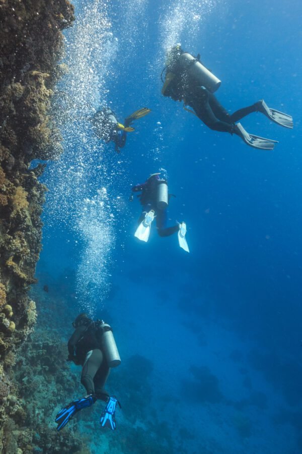 PADI Scuba Diver Certification