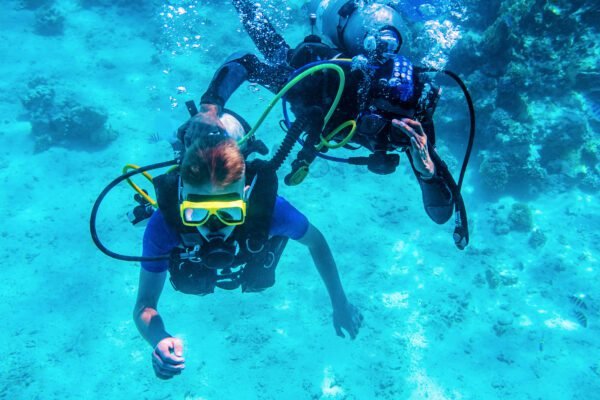 PADI Scuba Diver Certification - Image 2