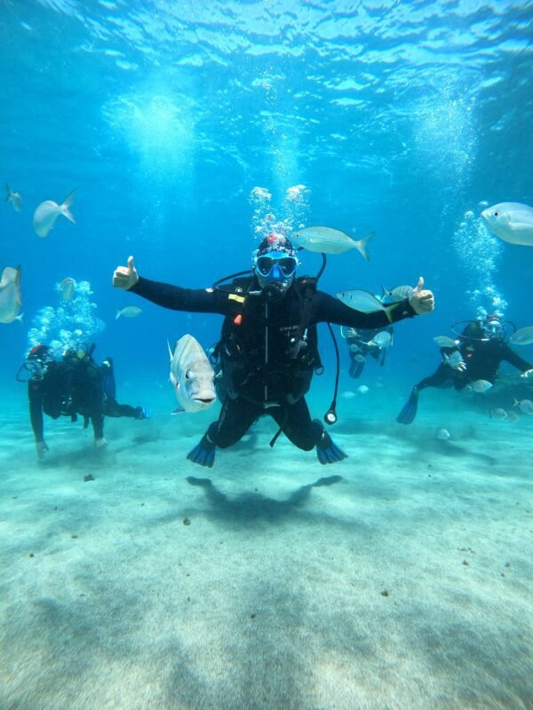 PADI Open Water Diver Referral - Image 3